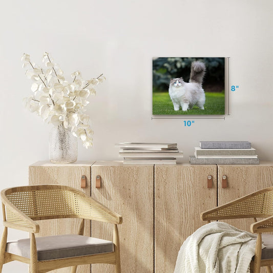 Custom Canvas Photo Prints 10 x 8, Personalized Wall Art Gift for Him Her - Custamazegifts.com