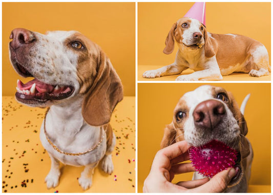 Custom Jigsaw Three Photo Puzzle, Personalized Collage 200-1000 Piece - Custamazegifts.com