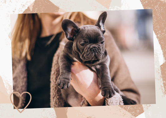 Personalized Puzzle 200 300 500 1000 Piece with Kids Pets Your Photos - Custamazegifts.com